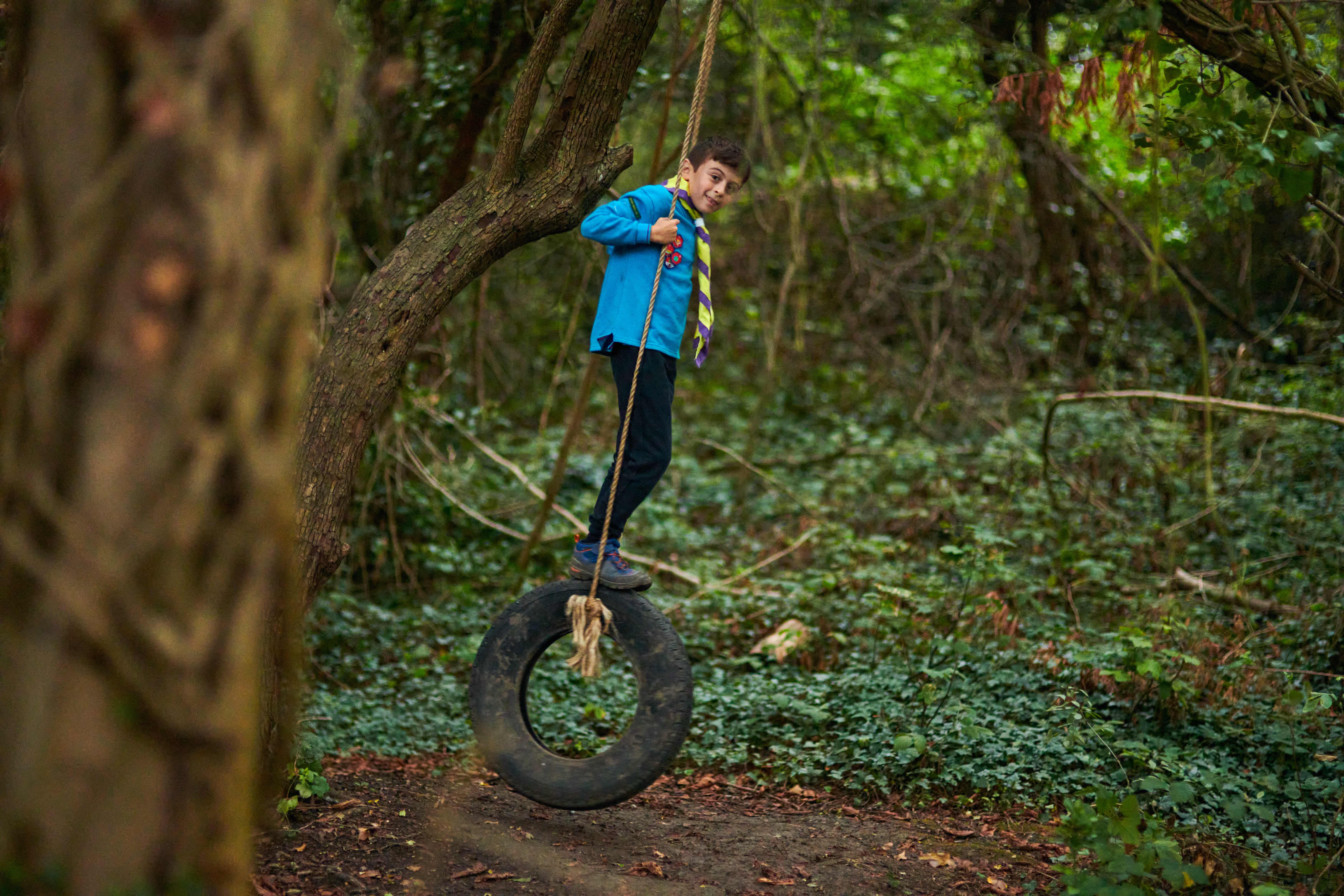 A beaver on a rope swing